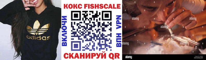 купить закладку  Буинск  Кокаин Fish Scale 