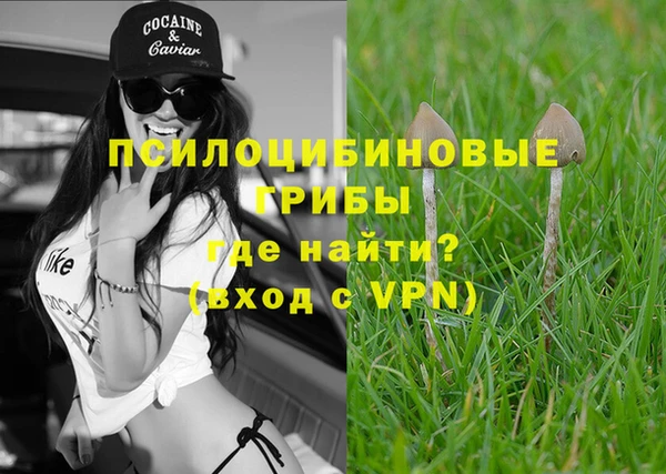 амф Бугульма